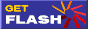 Flash logo