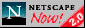 Netscape logo